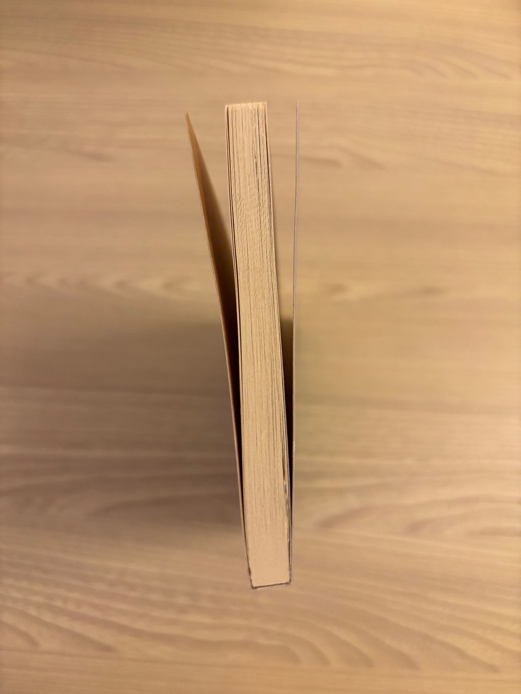 Livres: Sunrise, Michael Köhlmeier – D'occasion à Niederrohrdorf par Madoqua 3