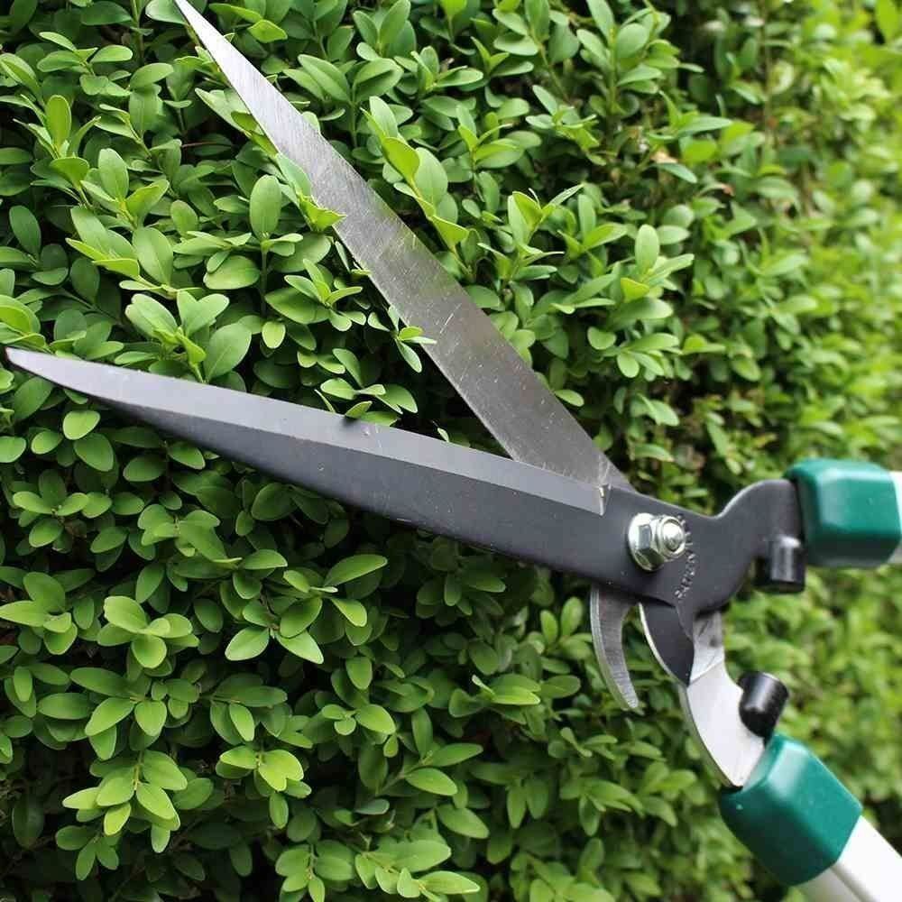 Tutti gli attrezzi: SIENA Pro Alu Heckenschere mit Astabschneider – Nuovo e nell'imballaggio originale da Kägiswil venduto da nick333 3