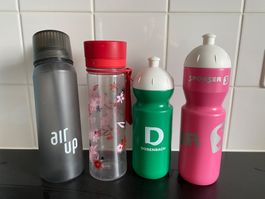 Gourdes différents modèles