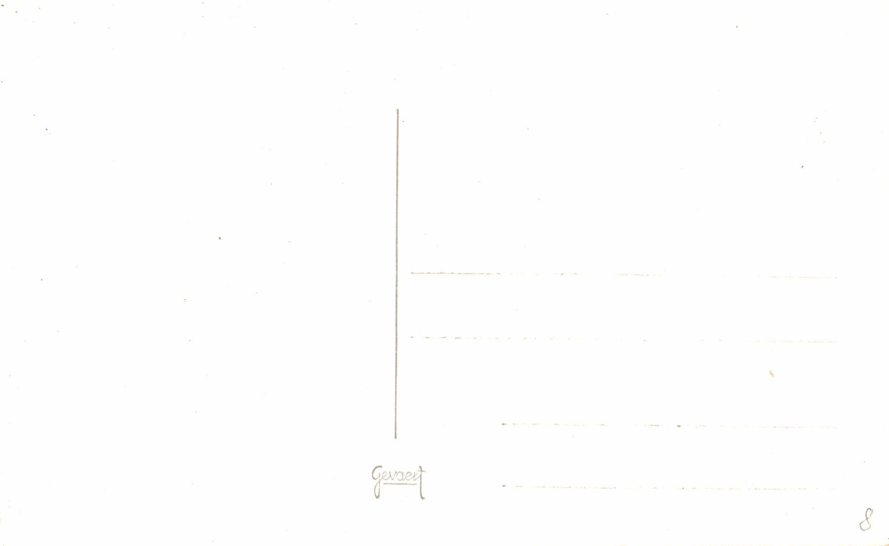 Cartoline postali: Damfzug mit Wagen – Usato da Bronschhofen venduto da Astore 1