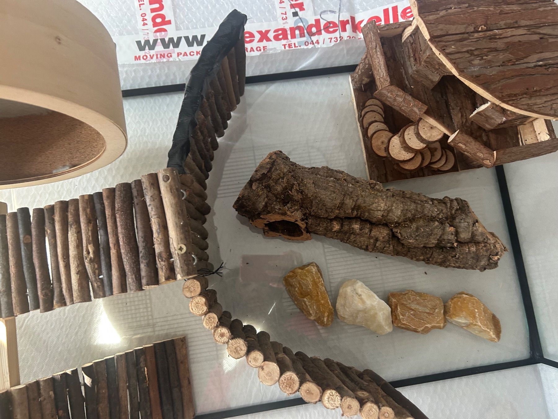 Terrario: Zwerghamster-Terrarium – Usato da Pfäffikon SZ venduto da Borsalino1920 7