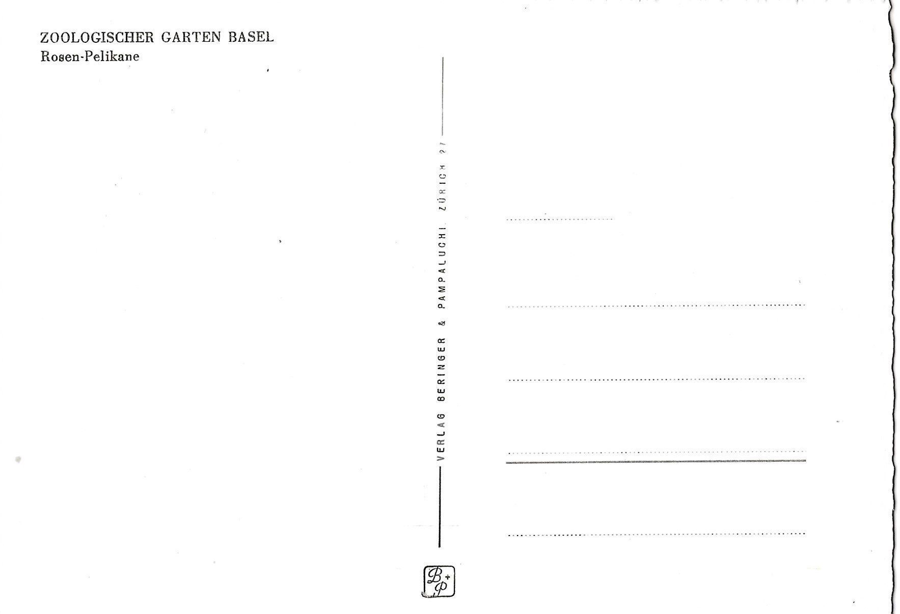 Cartoline postali: Basel, Zoo, Rosen-Pelikan – Usato da Frauenfeld venduto da Merk52 1