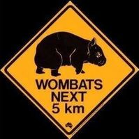 Kunststoffschild Wombats  Next 5 km Australien Neu