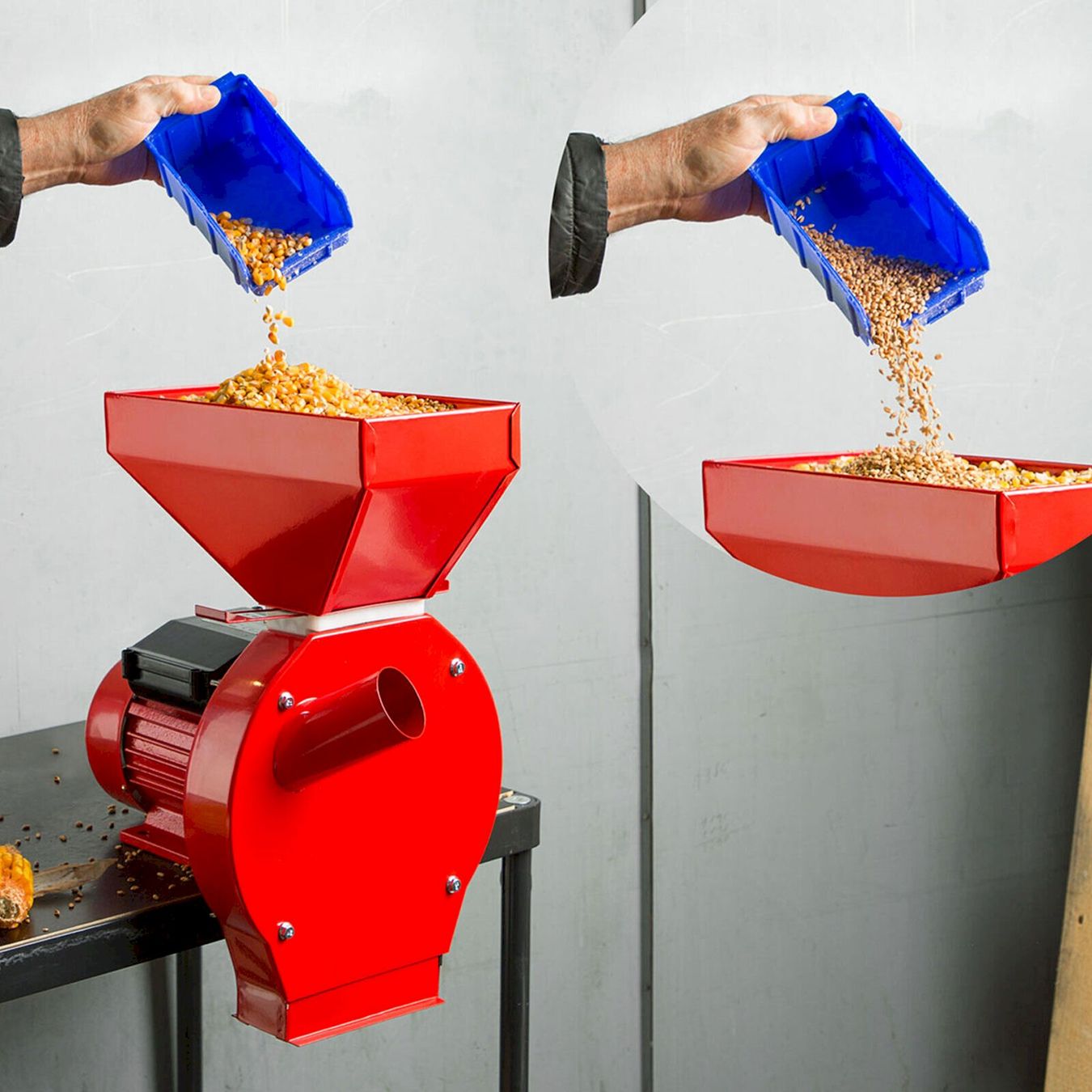 Elettrodomestici da cucina: EBERTH Getreidemühle 1100W – Nuovo e nell'imballaggio originale da Bottighofen venduto da zaap 4
