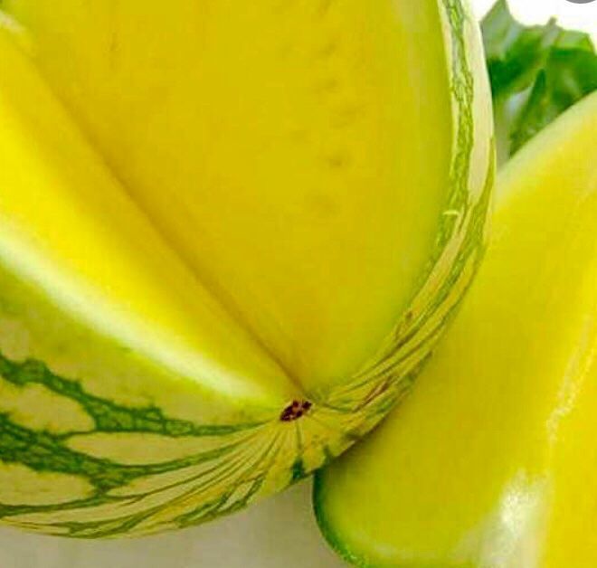 Piante & sementi: 5  stk SAMEN seltene Gelbe Wassermelone – Nuovo e nell'imballaggio originale da Rovio venduto da POSITIFFARTandPLANTS 6