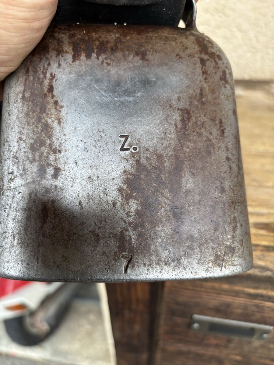 Campanacci mucche: Zurfluh Bisse NR 7. – Usato da Schangnau venduto da Roseggli82 8