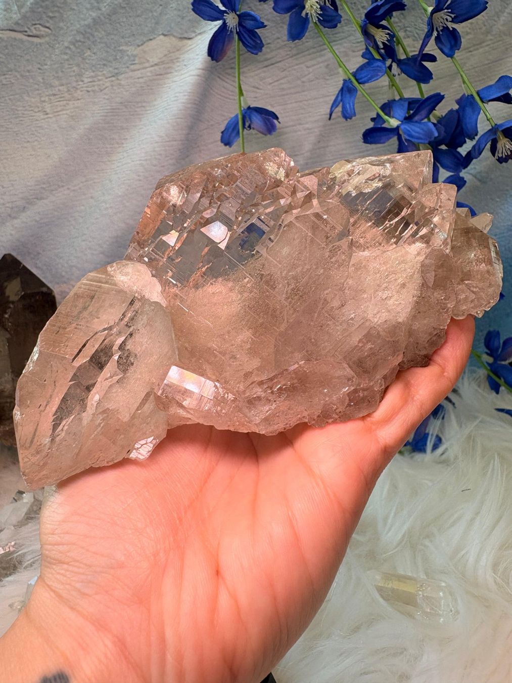 Pietre preziose: Rauchquarz Gwindel Grimelpass – Nuovo e nell'imballaggio originale da Neuheim venduto da m.hald 2