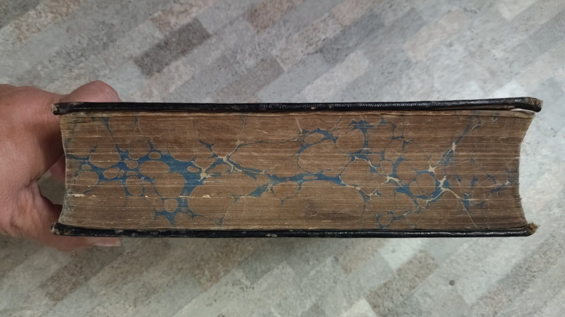 Libri: Antike BIBEL 1863 – Usato da Stein AR venduto da Ceretta 2