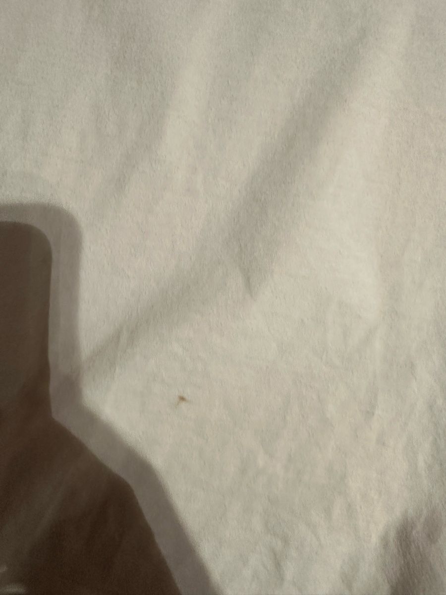 Levi's T-shirt: Levis T-Shirt 2x – Usato da Chur venduto da Sim7000 5