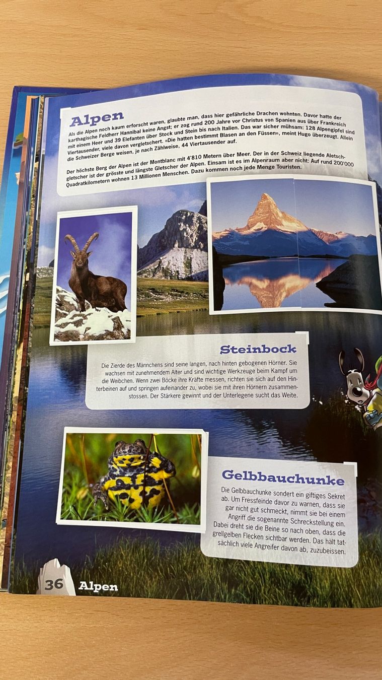 Libri: Mountain Mania - Abenteuer Bergwelt – Usato da Glattfelden venduto da markweb 8