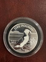 Silberunze Alderney 2019 Puffin