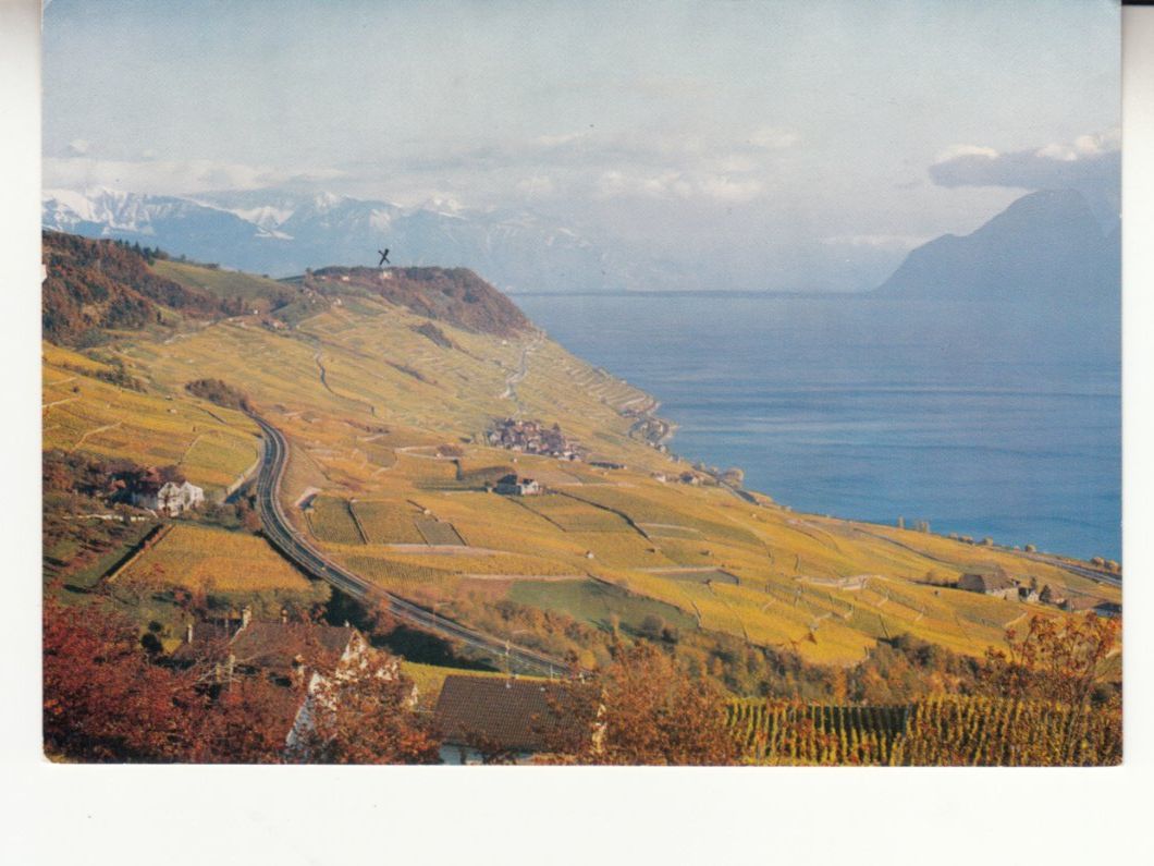 Ansichtskarten: Lavaux 1966 – Gebraucht aus Bürglen TG von StampGraf