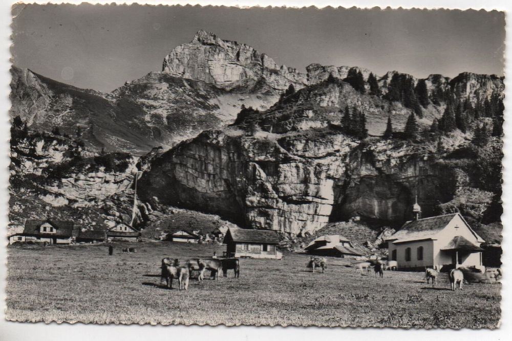 SACHSELN Alp Aelggi mit Brünighaupt Kaufen auf Ricardo