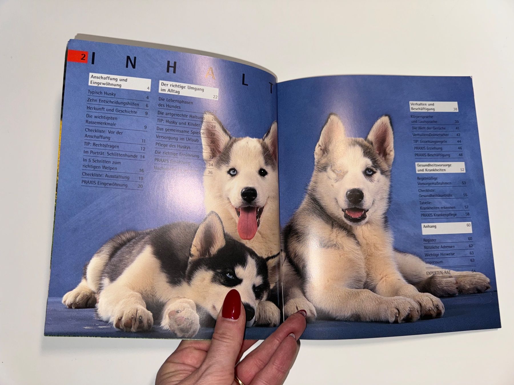 Bücher: BUCH: Husky – Gebraucht aus Grosswangen von Second_hand_paradise 1