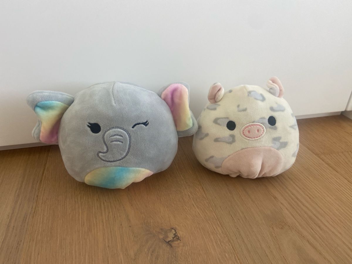 Squishmallows Giocattoli: Squishmallows 2 Stück 10 cm – Usato da Birmenstorf AG venduto da jokerit02 1