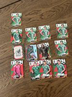 Mexico Football Trading Cards Collection Lot 12 cards