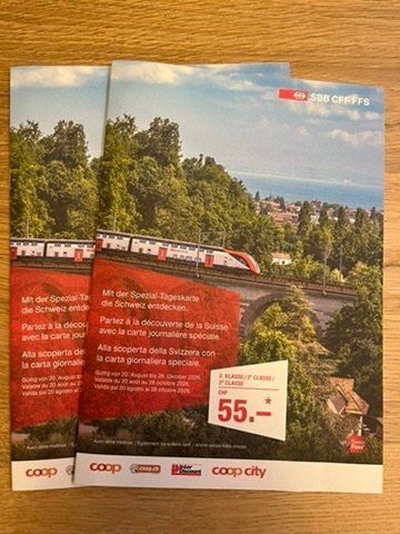 Biglietti: 2x SBB Tageskarte – Nuovo e nell'imballaggio originale da Steinach venduto da gisi69
