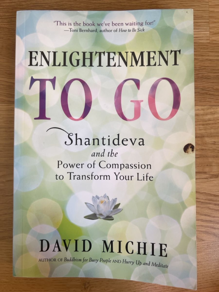 Libri: Enlightenment To Go, David Michie – Usato da Basel venduto da clembou