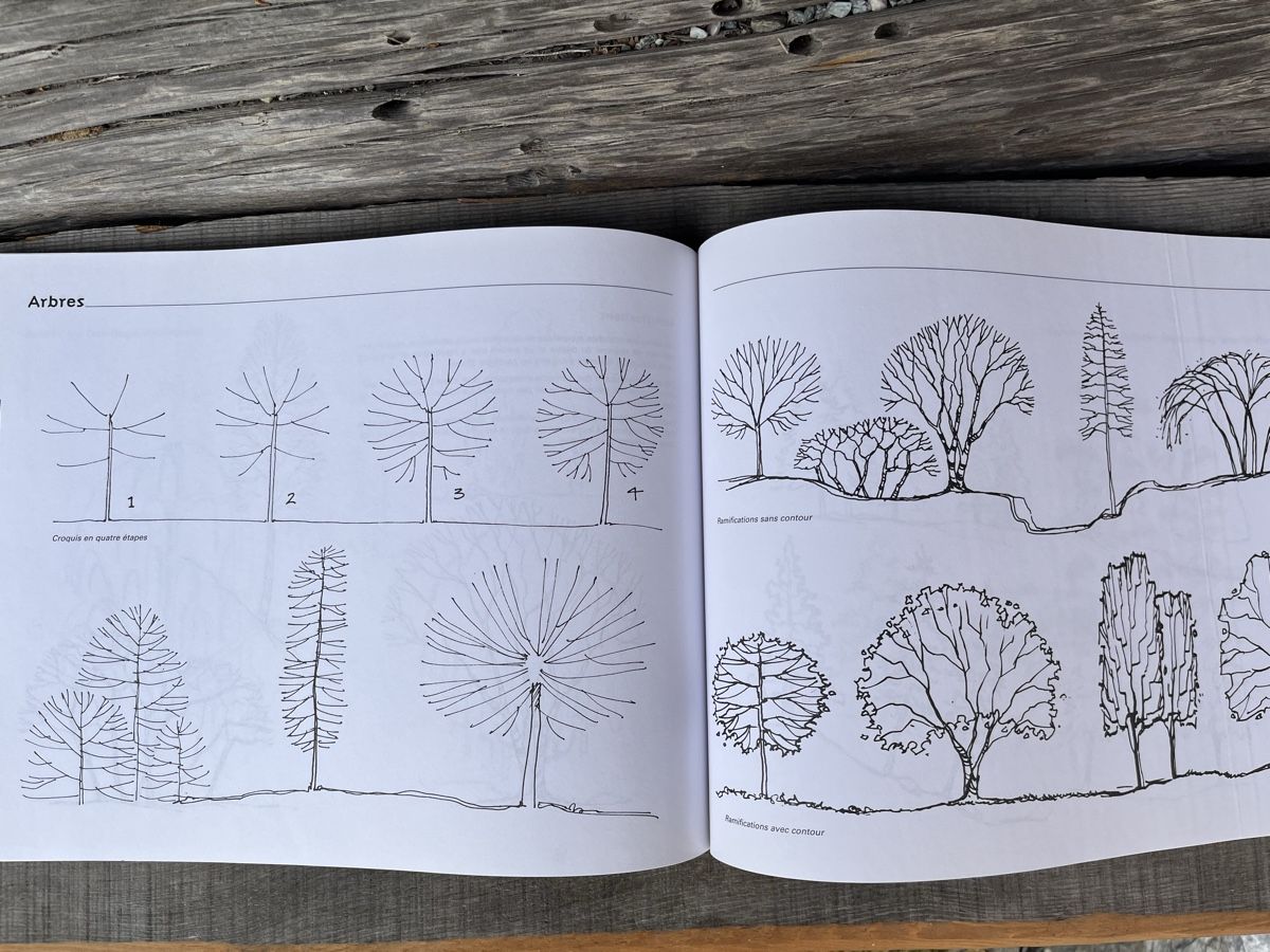 Libri: Dessin d’architecte paysagère – Usato da Euseigne venduto da so.ART 6