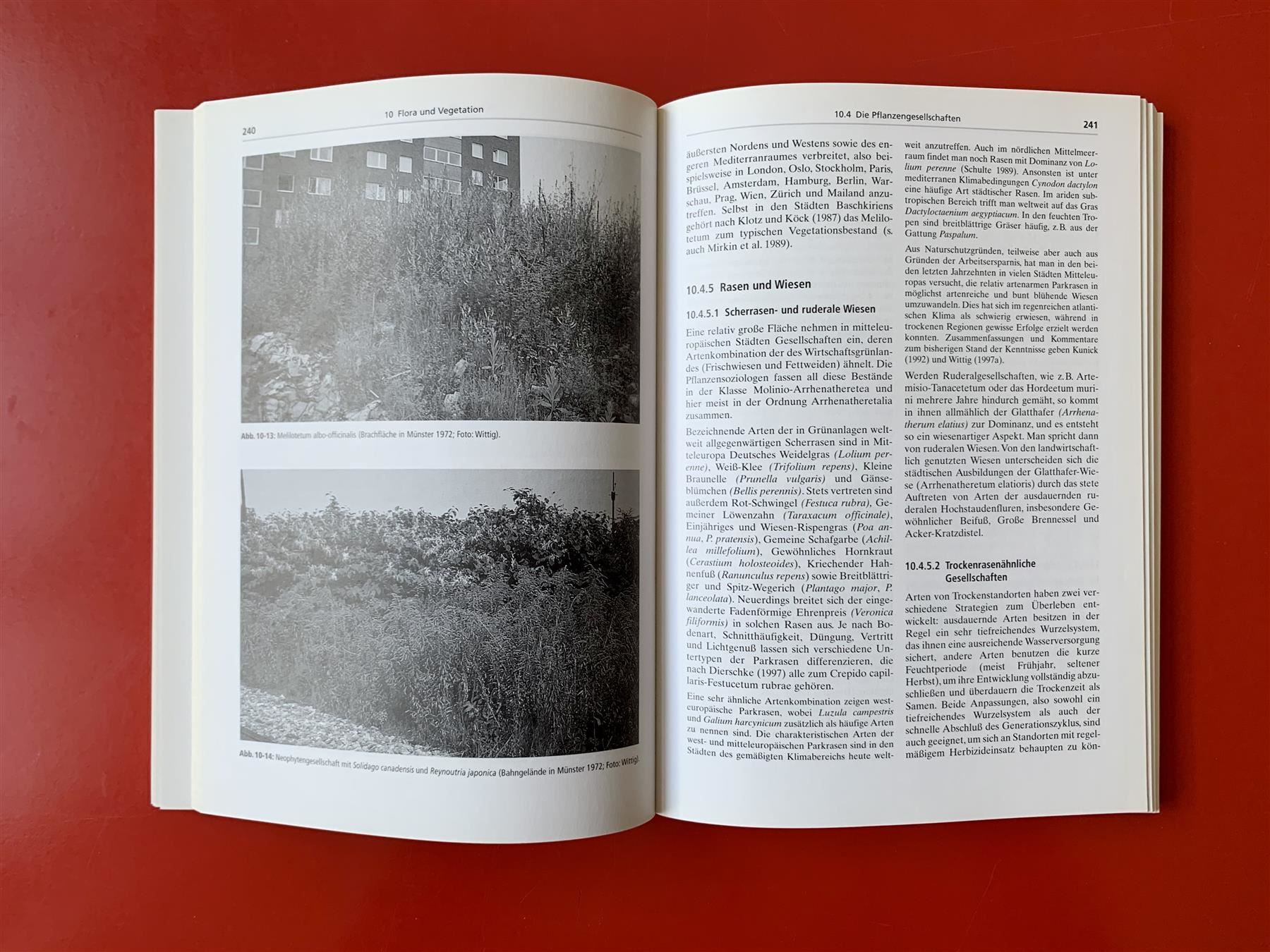 Libri: Buch: Stadtökologie von Herbert Sukopp – Usato da Zürich venduto da ZuercherBrockenhaus 7