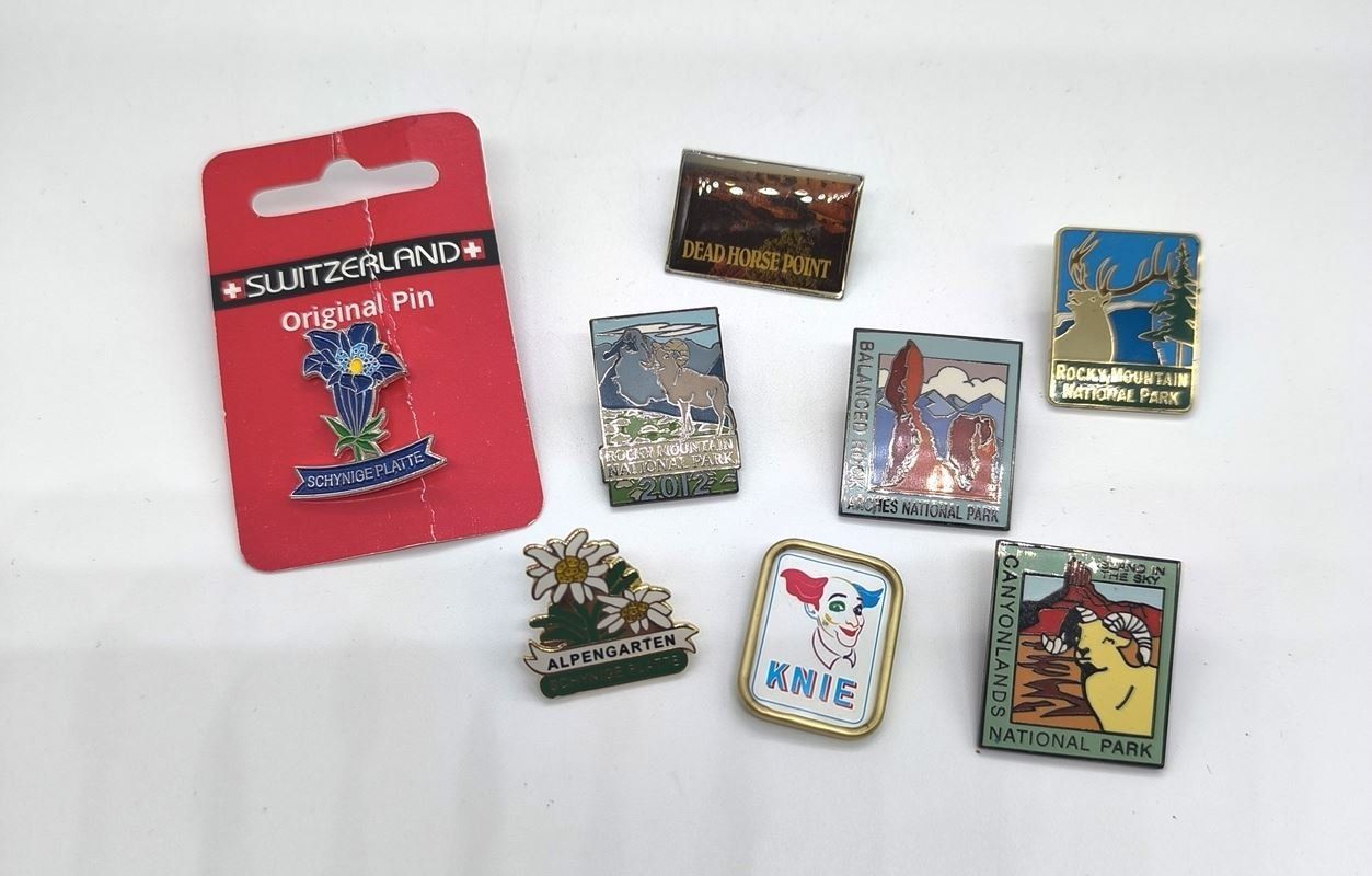 Plaketten & Abzeichen: Pin Lot 8 Stück – Gebraucht aus Rüti ZH von Restwert_Rueti_ZH