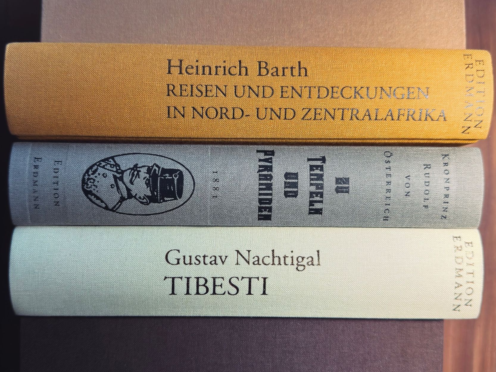 Libri: Alte abenteuerliche Reiseberichte - Erdmann - Set Afrika 2 – Usato da Mörschwil venduto da vet_vzj9