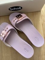 NEU Scholl Pescura Zoggeli Nr 39