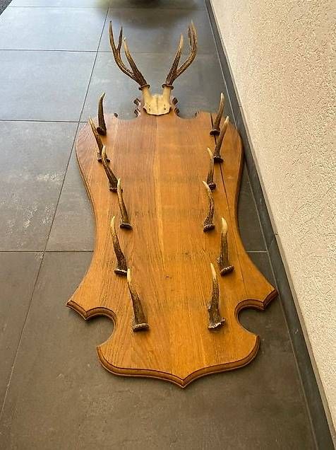 Canne da pesca: Porte-fusils de chasse – Usato da Colombier NE venduto da Boy48