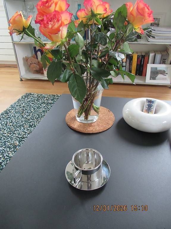 Set di piatti: INOX- Mocca-Set, 6Teile – Usato da Gümligen venduto da ChrigiSigi