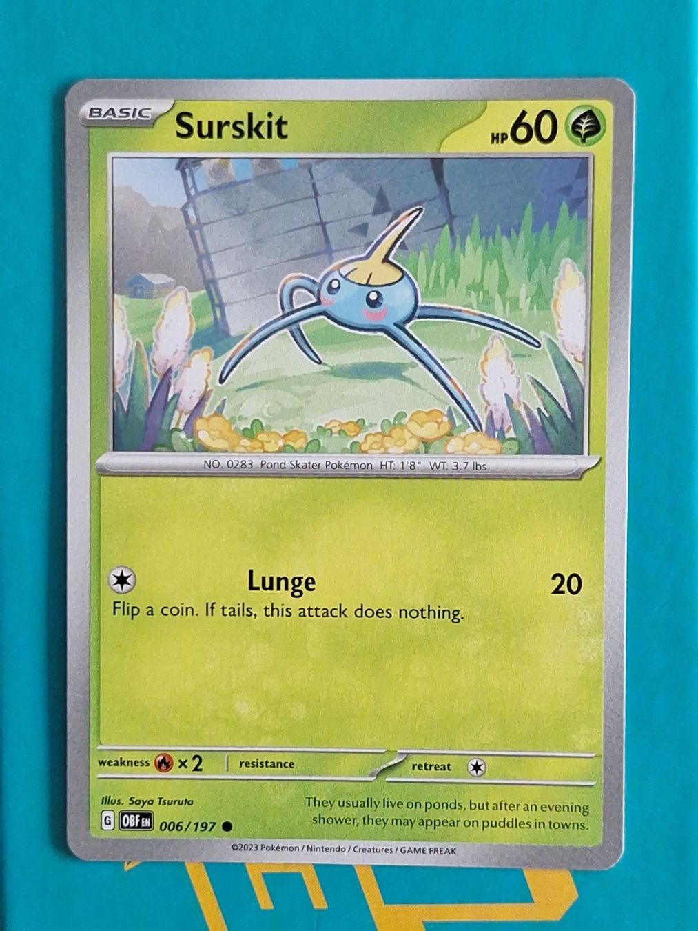 Pokémon Carte collezionabili: Surskit - Pokemon Obsidian Flames – Usato da Altstätten SG venduto da GGsGameshop