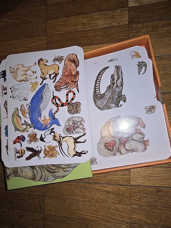 Spiele: Jeu zanimatch – Gebraucht aus Chavannes-Renens von Coco200 2
