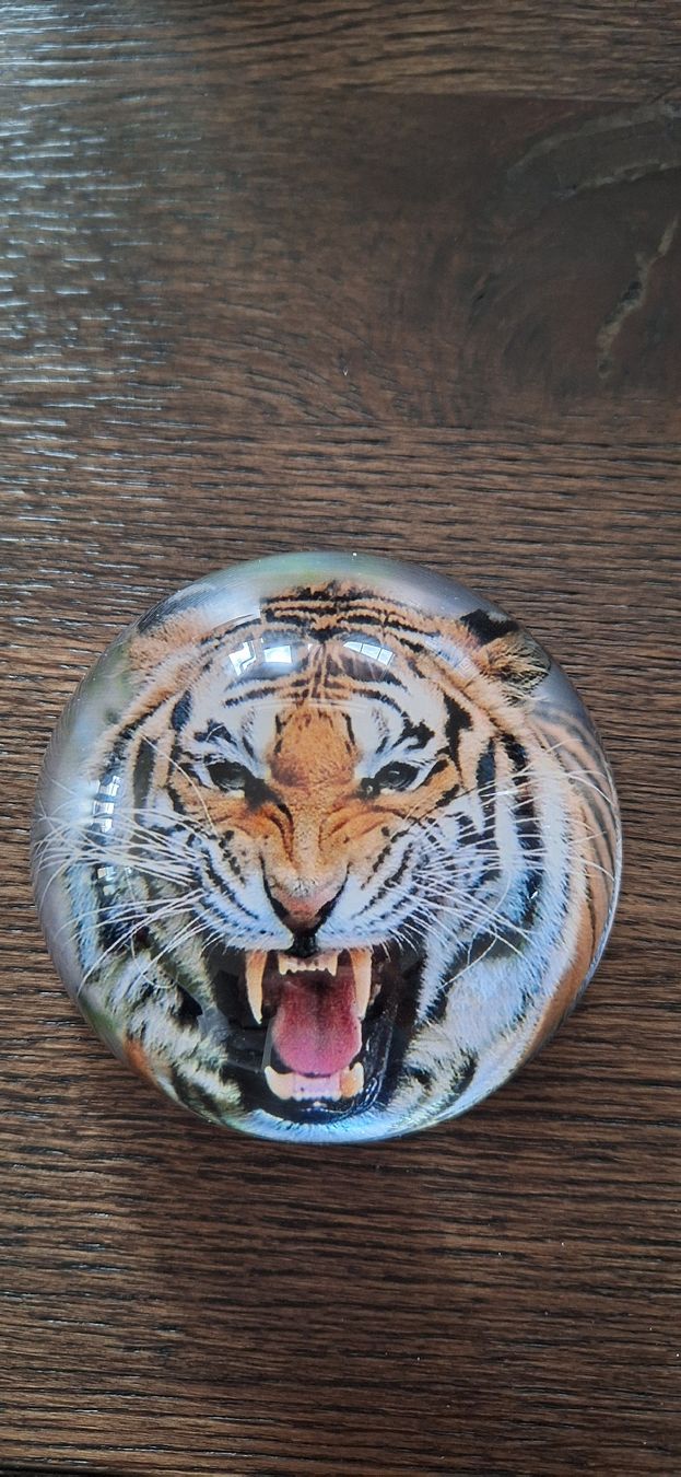 Tutte le decorazioni: Briefbeschwerer mit Tiger NEU OVP – Nuovo e nell'imballaggio originale da Arisdorf venduto da nde_q52j 1