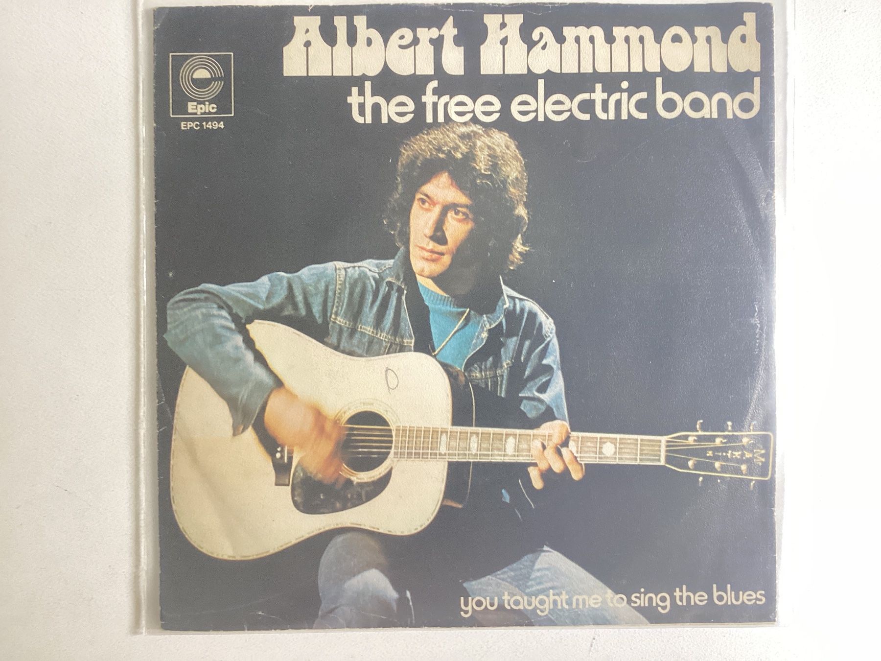 Dischi in vinile: Albert Hammond Single - The Free Electric Band – Usato da Gutenswil venduto da Hamzian