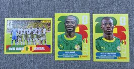 Panini WM 2026 Sticker Senegal Team 3 Sticker