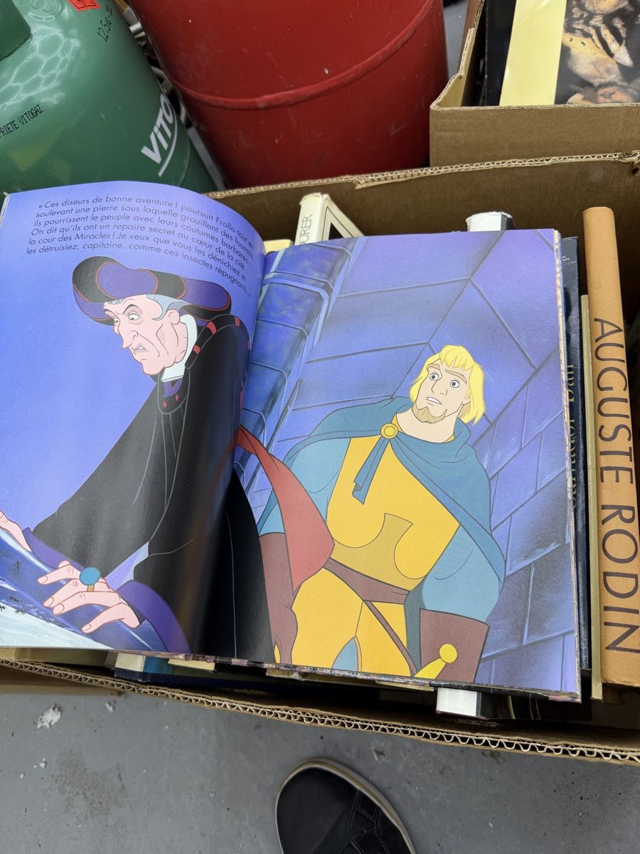 Fumetti: Le Bossu de Notre-Dame Disney 1995 – Usato da Wettingen venduto da NickInc 5