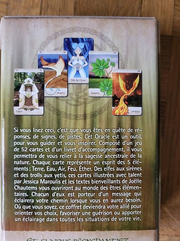 Spiele: Oracle des etres élémentaires – Gebraucht aus Lausanne von sar_yyb7 1