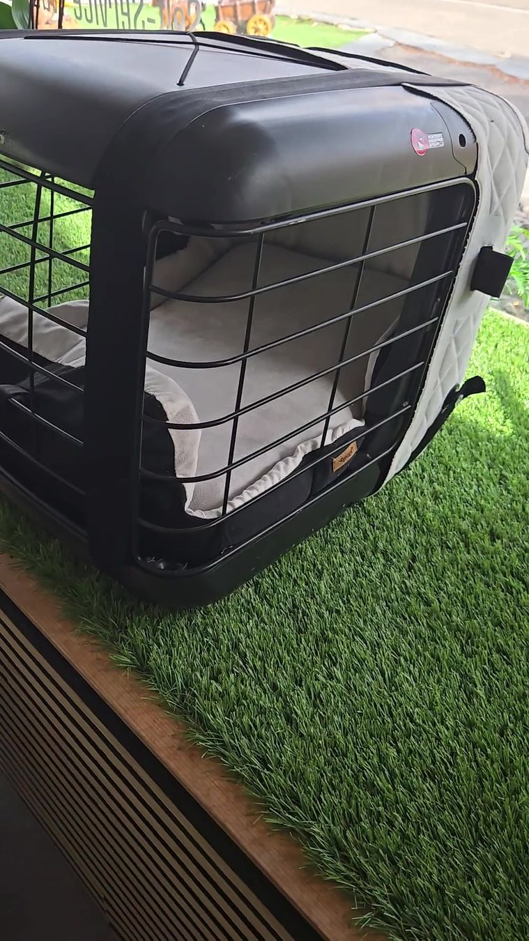 Niches, paniers: 4pets Transportbox Caree  – D'occasion à Basel par Moebeloutlet1 4