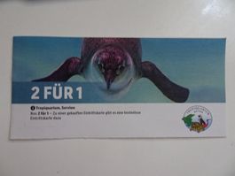 2 für 1 Bon Tropiquarium, Servion
