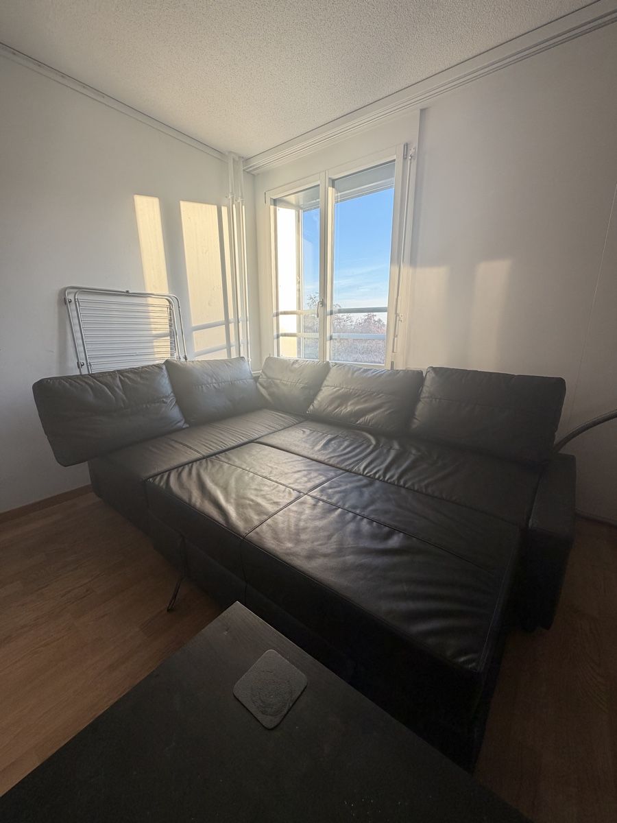 Ikea Divani: IKEA Friheten Eckbettsofa mit Bettkasten – Usato da Bern venduto da -Noah 1