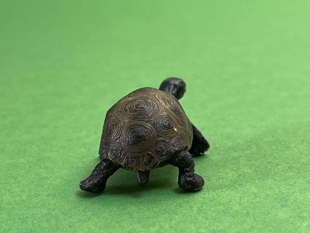 Schleich 14643 Riesenschildkröte Schildkröte Junges | Kaufen auf Ricardo
