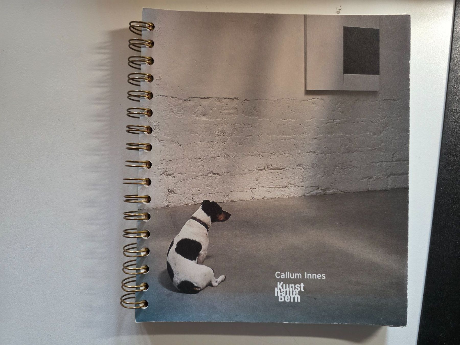 Libri: Callum Innes - Kunsthalle Bern 1998 – Usato da Walterswil BE venduto da Lonitti