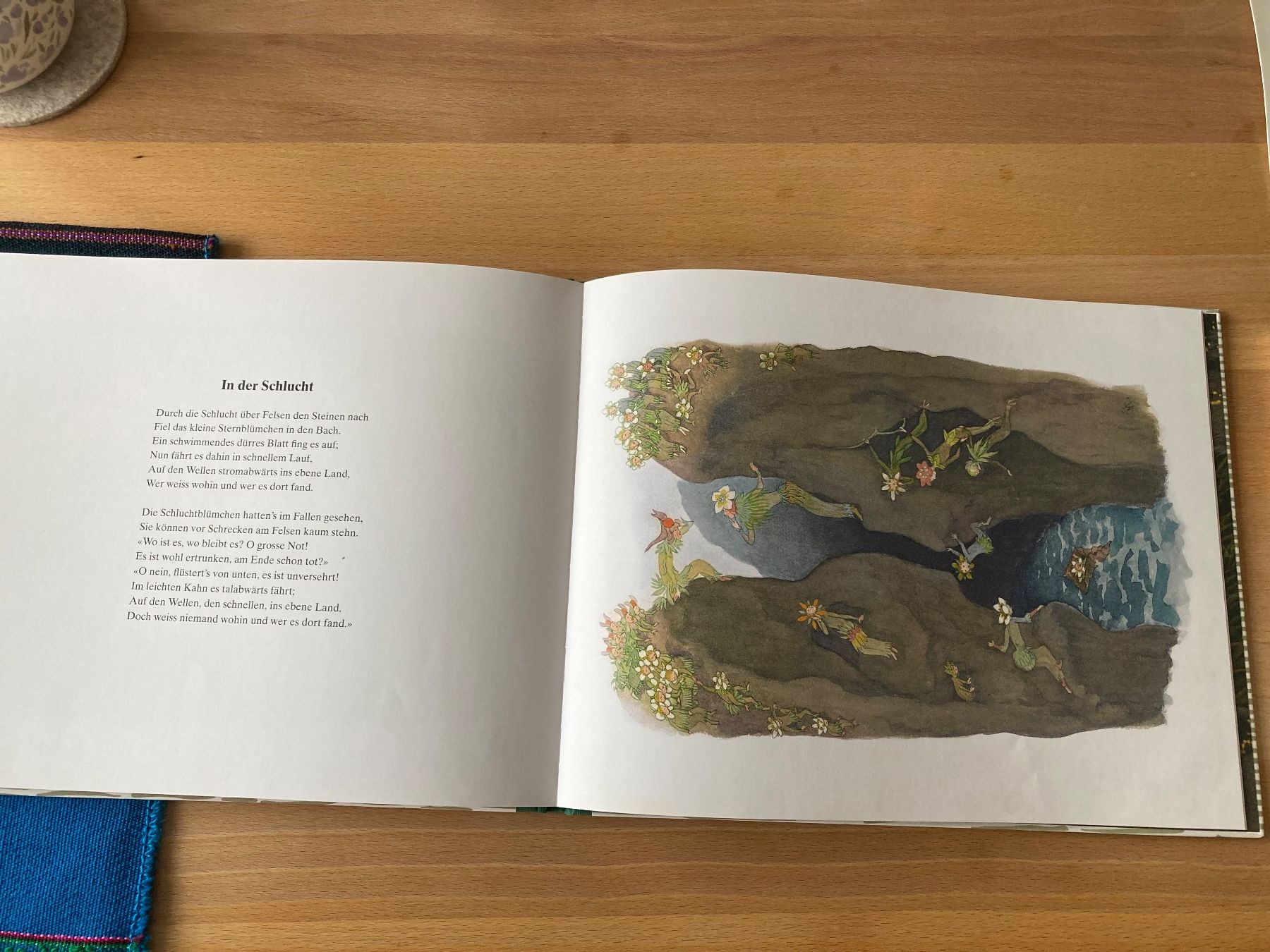 Libri: Alpenblumenmärchen Ernst Kreidolf – Nuovo (secondo la descrizione) da Landschlacht venduto da Ajee2 3
