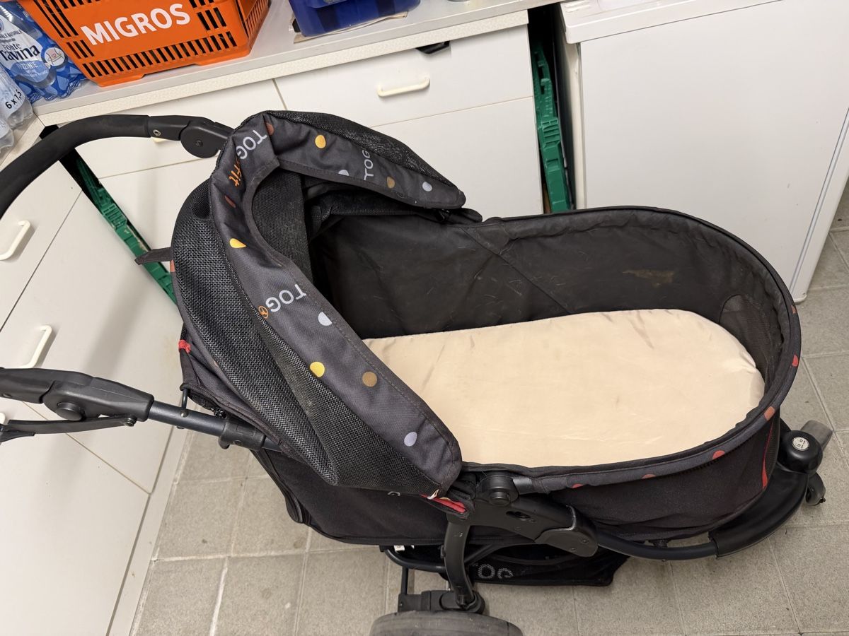 Carrozzine: Hundebuggy Tog fit  – Usato da Beromünster venduto da Ctempo 4