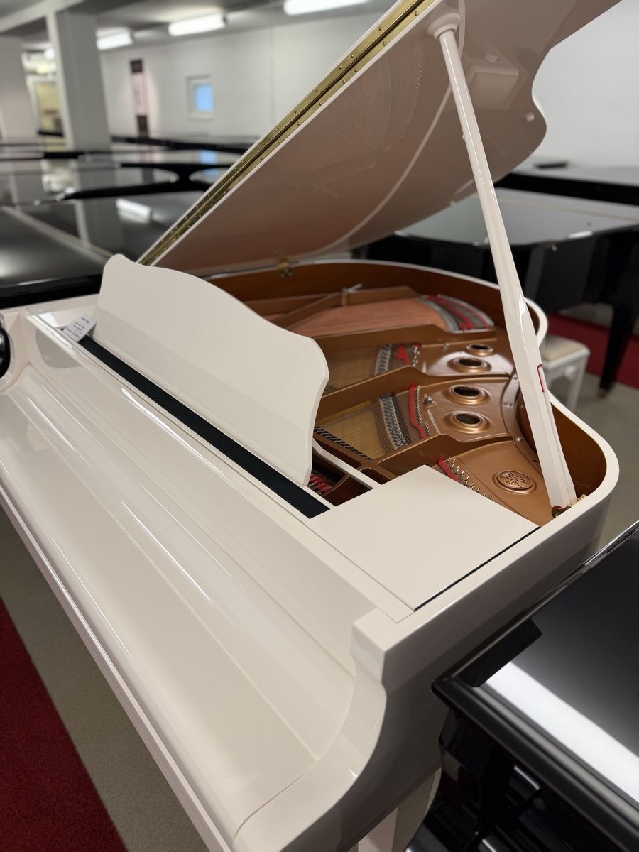 Yamaha Strumenti musicali: Yamaha GB1 PWH – Nuovo e nell'imballaggio originale da Niederhasli venduto da Musikhaus-Ammann 1