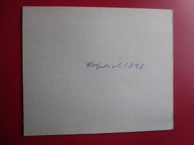 Incisioni: Bern - kleiner Holzstich um 1898 – Usato da Luzern venduto da Horoskop1 3