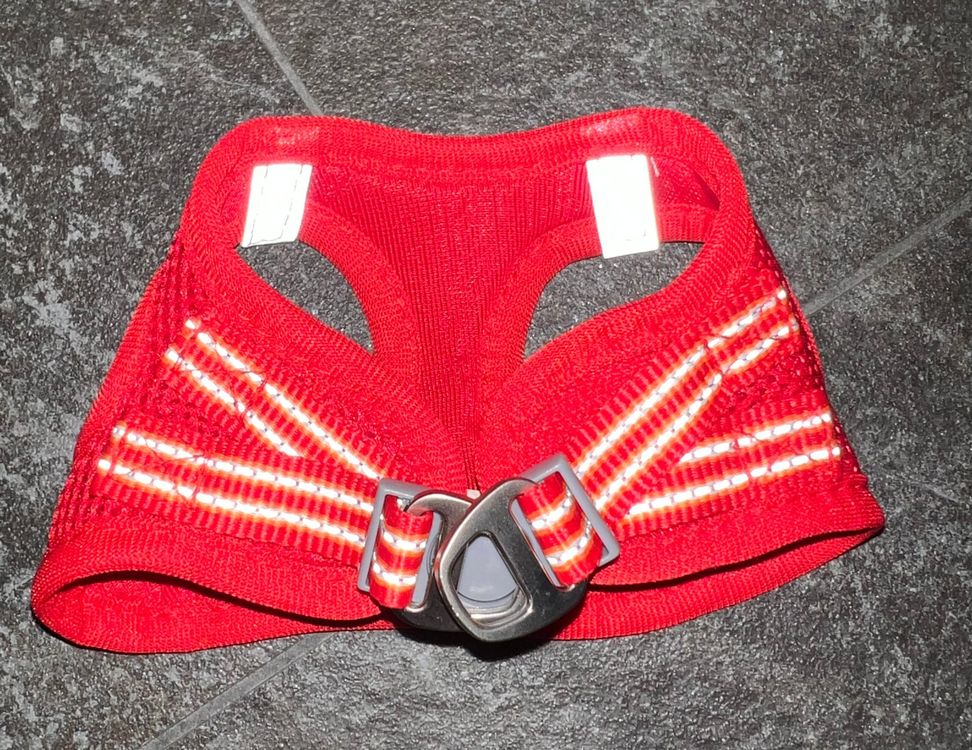 Ausweis-Aufnäher „Service Dog In Training“ – 8,3 X 10,8 Cm, Mit Clip, Inkl. 5 Info-Karten