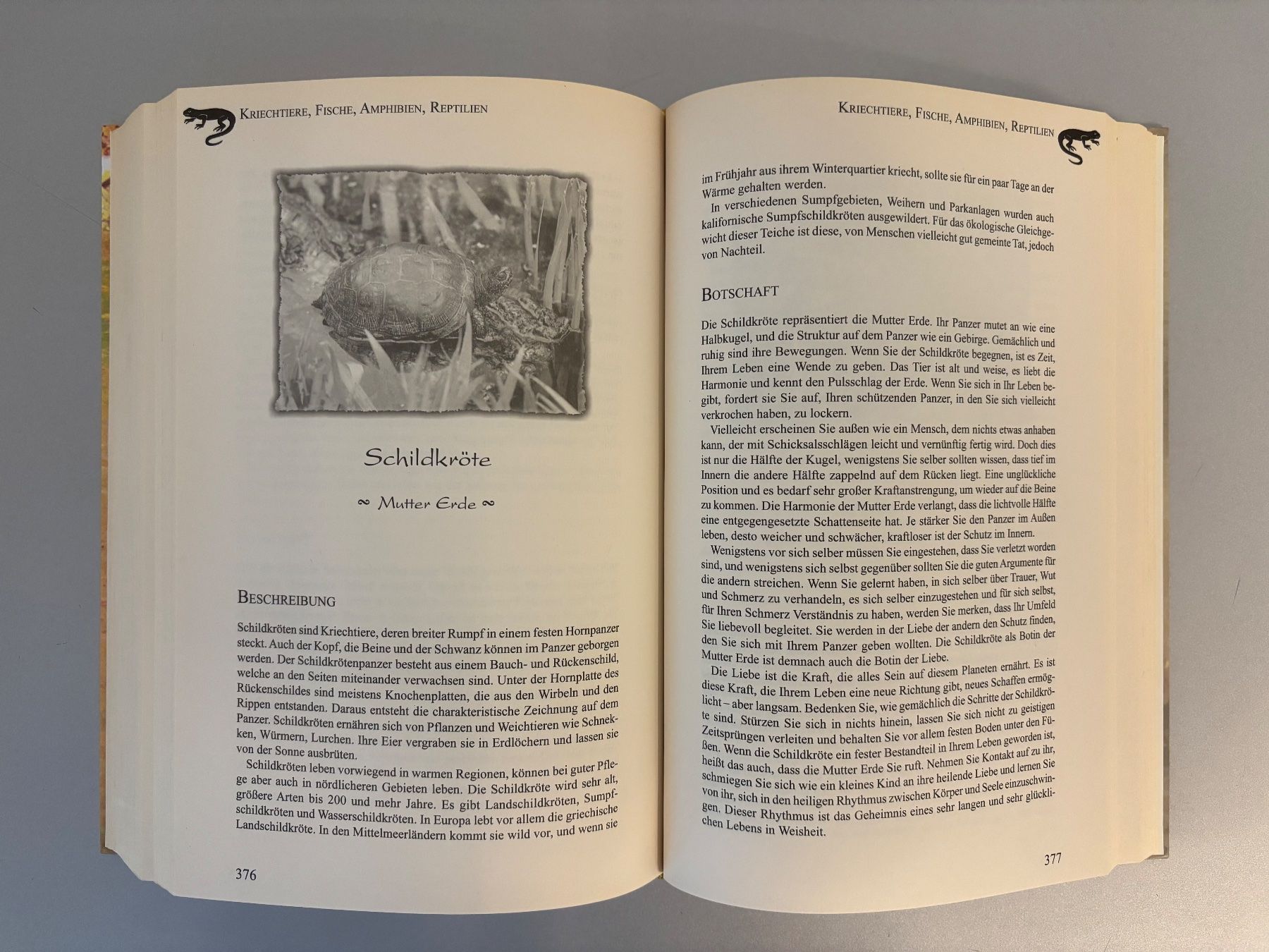 Bücher: Tierisch gut - Tiercharakter-Lexikon Tierregister – Neu (gemäss Beschreibung) aus Unterägeri von flu_zp5d 7