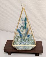 Glas-Terrarium Deko Trockenblumen Hänger