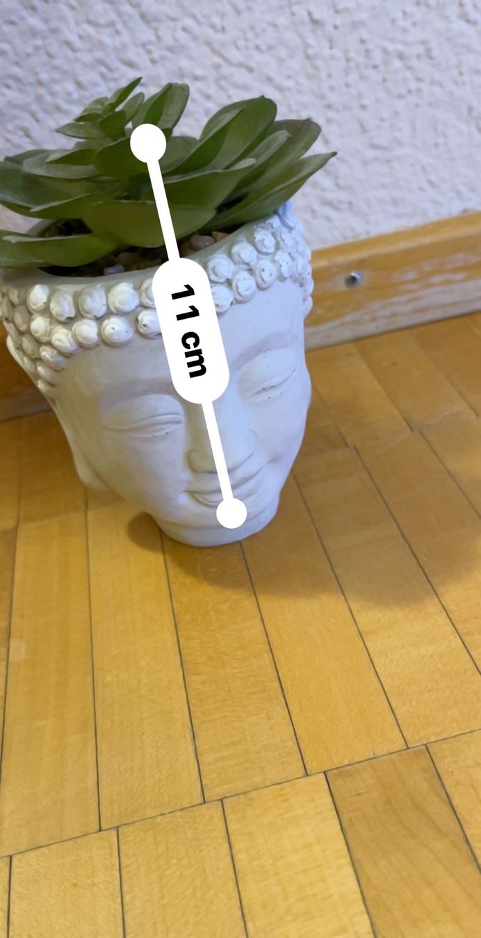 Plantes & graines: Planar Kunststoff  mit budda vase – D'occasion à Küssnacht am Rigi par ciucchino 4
