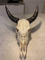 Crâne vache sculpté / style Bali